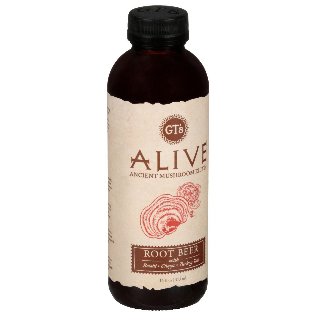 slide 3 of 14, GT's Gt's Alive Ancient Mushroom Elixir Root Beer - 16.2 fl oz, 16.2 fl oz