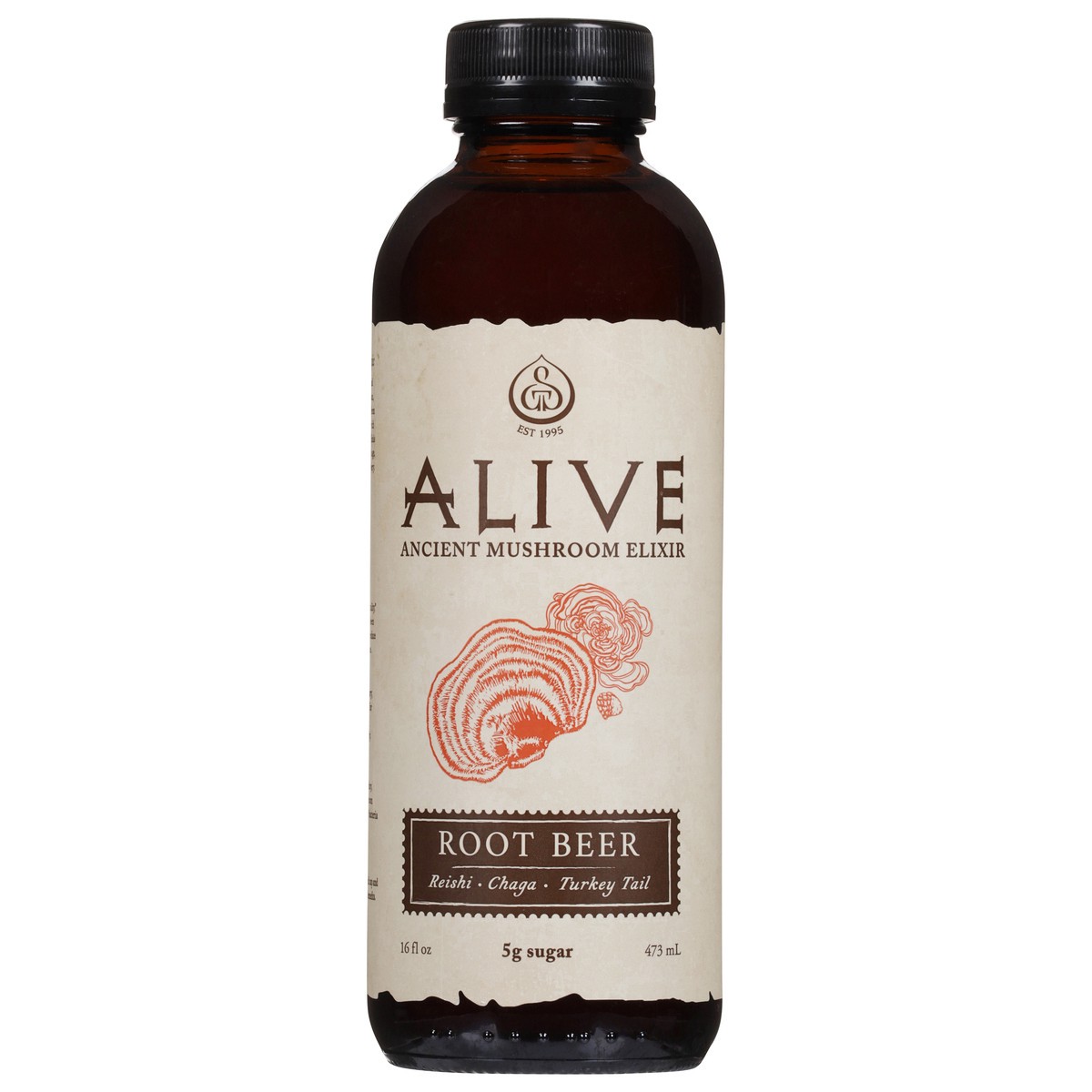 slide 1 of 14, GT's Gt's Alive Ancient Mushroom Elixir Root Beer - 16.2 fl oz, 16.2 fl oz