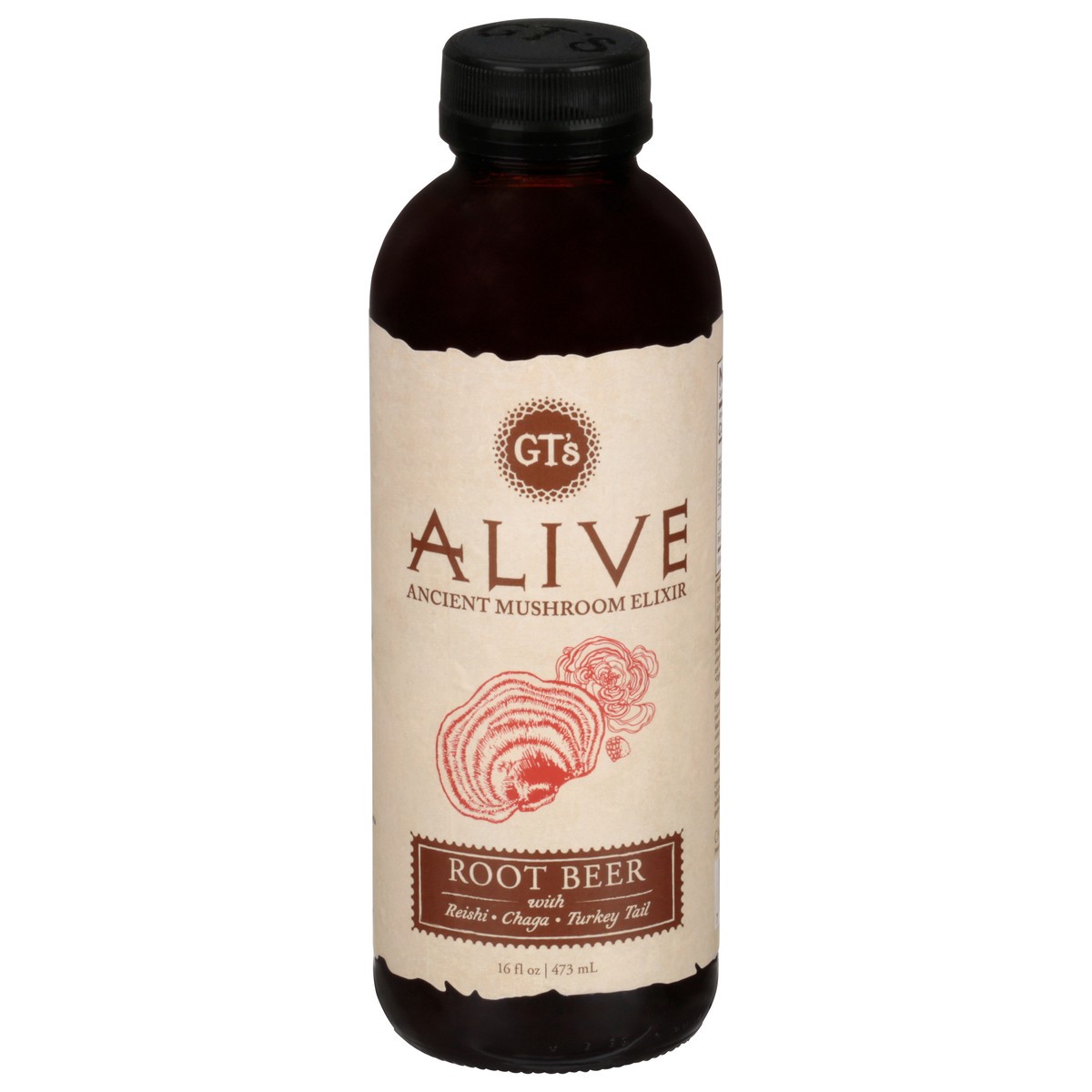 slide 7 of 14, GT's Gt's Alive Ancient Mushroom Elixir Root Beer - 16.2 fl oz, 16.2 fl oz