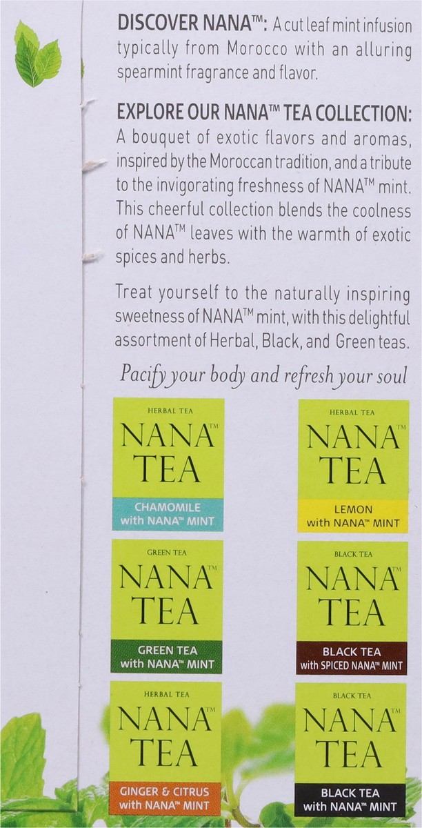 slide 8 of 9, Wissotzky Tea Nana Tea Tea Bags Green Tea with Nana Mint - 20 ct, 20 ct