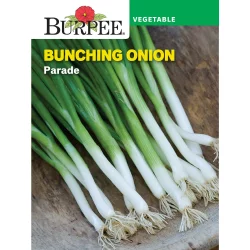 Burpee Parade Bunching Onion Seeds