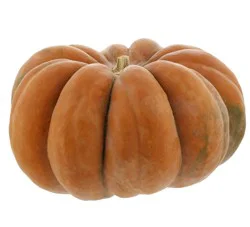 H-E-B Texas Roots Fairytale Pumpkin - Small