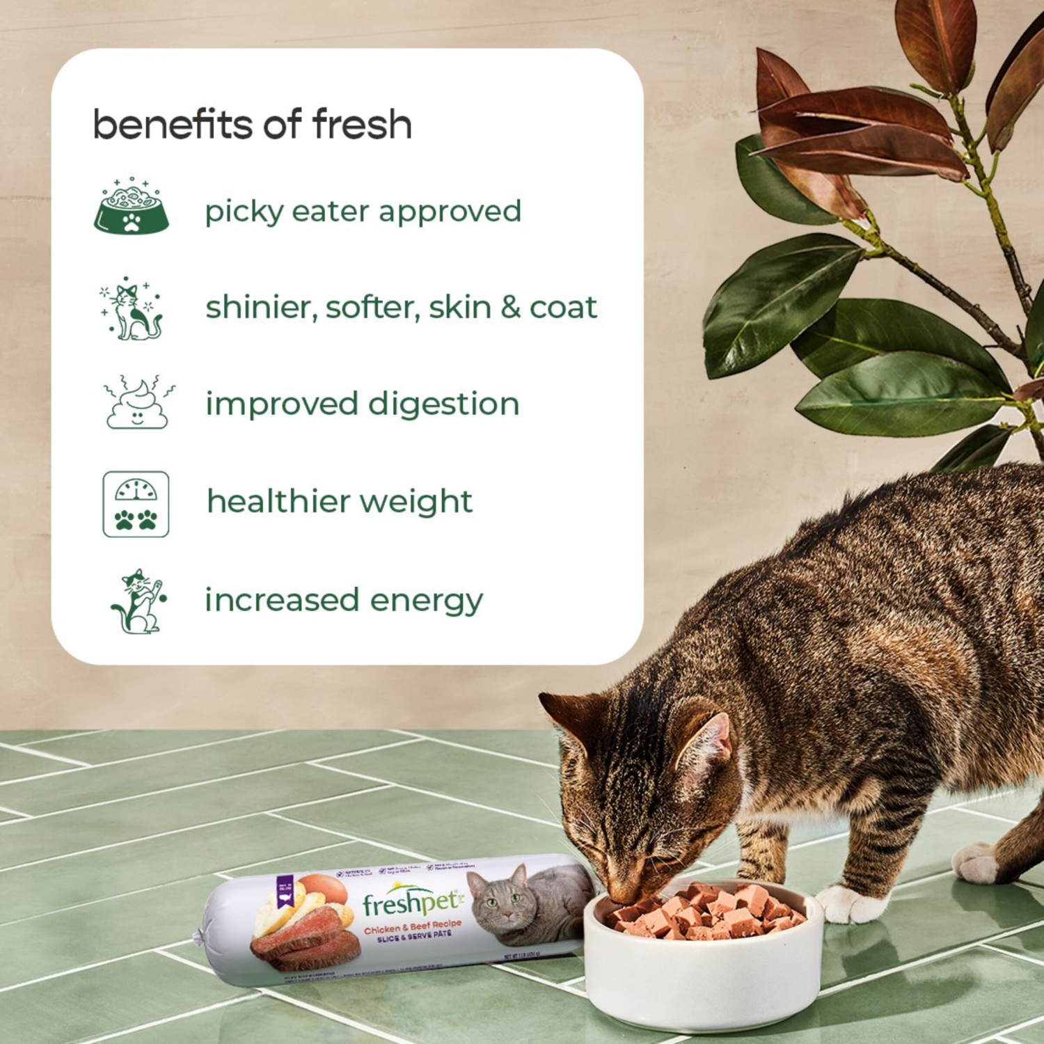 slide 2 of 8, Freshpet Select Gourmet Pate Grain Free Chicken & Beef Recipe Cat Food 1 lb, 1 lb
