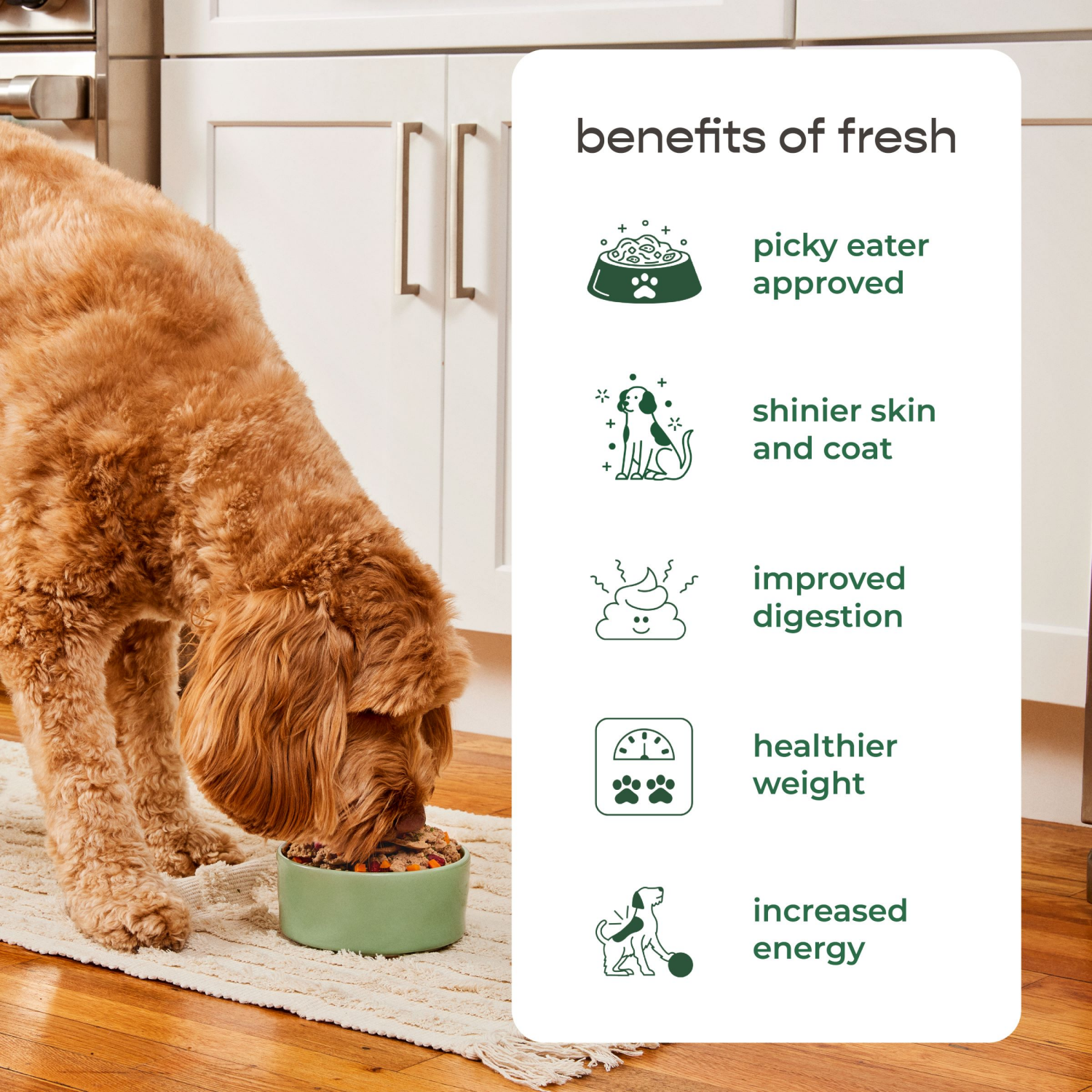 slide 2 of 8, Freshpet Slice & Serve Roll Multi-Protein Recipe with Sweet Potatoes & Garden Vegetables Dog Food, 1.5 lb