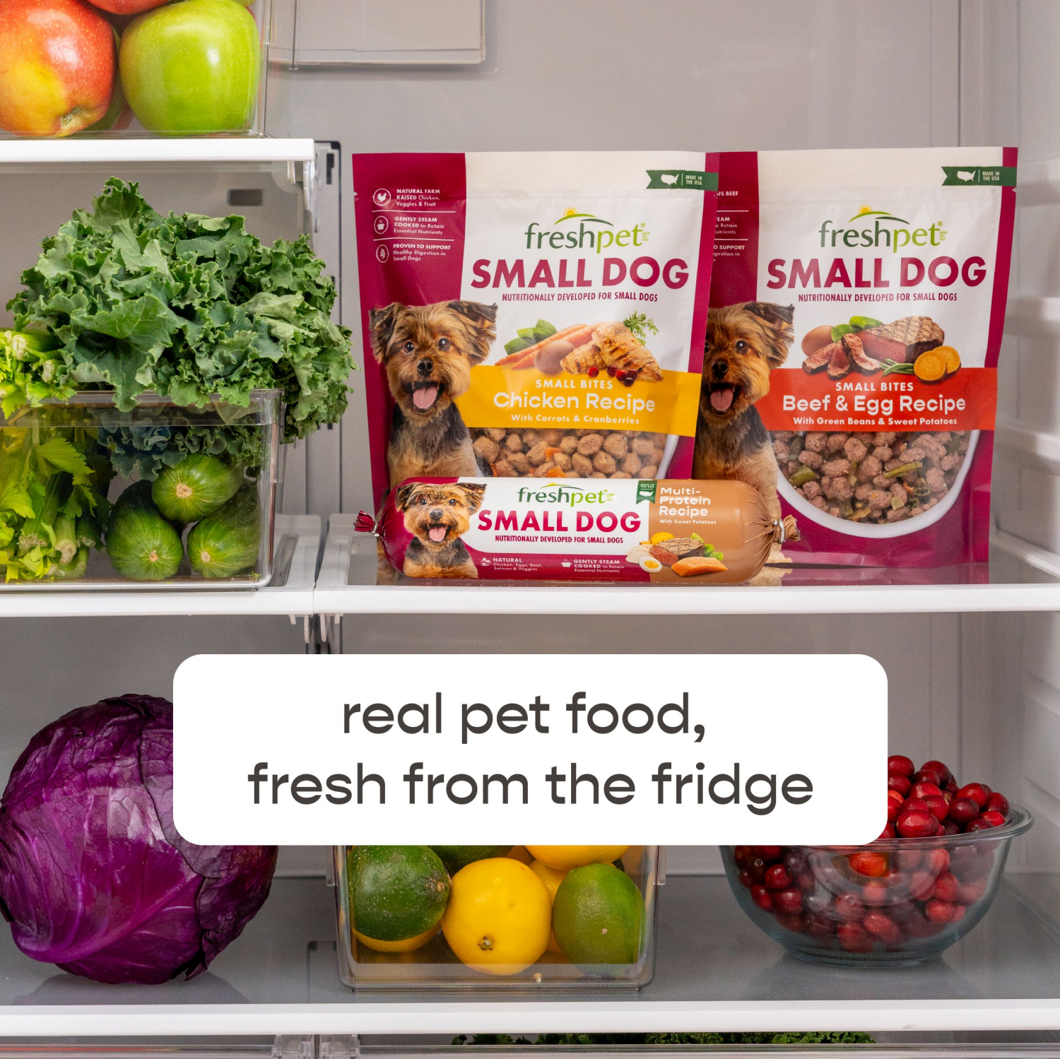 slide 7 of 8, Freshpet Select Small Dog Beef Roasted Meals, 1 lb