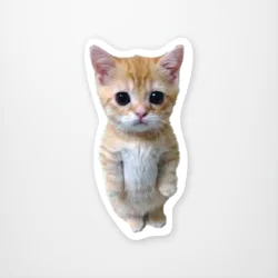 Standing Kitty Meme Sticker
