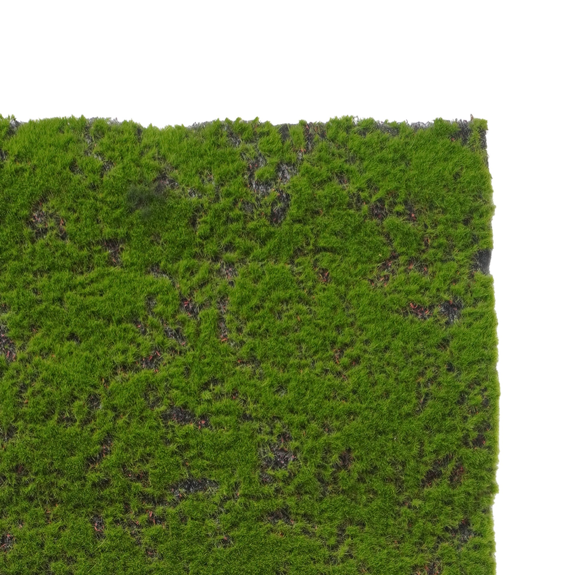 slide 2 of 3, 12" X 23.5" Faux Moss Mat By Ashland, 12 in x 23.5 in
