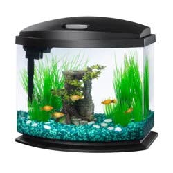 Aqueon LED MiniBow Kit with SmartClean Technology Black