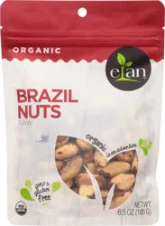 Elan Raw Brazil Nuts