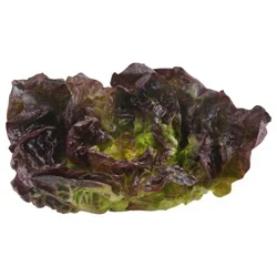 Produce Lettuce 1 ea