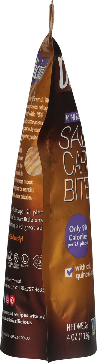 slide 6 of 9, Drizzilicious Salted Caramel Bites with Chia, Quinoa & Flax 4 oz, 4 oz