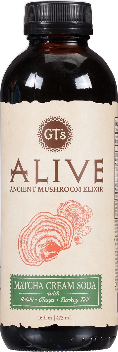 slide 3 of 13, GT's Alive Matcha Cream Soda Ancient Mushroom Elixir - 16 fl oz, 16 fl oz