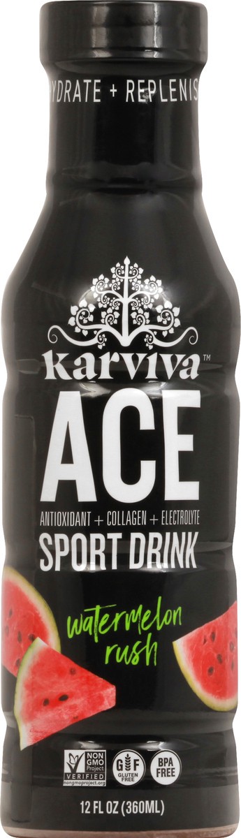 slide 10 of 11, Karuna Karviva Ace Watermelon Rush Recovery Drink - 12 oz, 12 oz