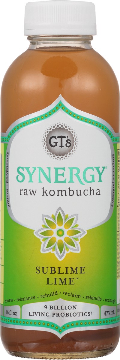 slide 6 of 9, GT's Gt's Synergy Organic & Raw Kombucha Sublime Lime, 16 fl oz