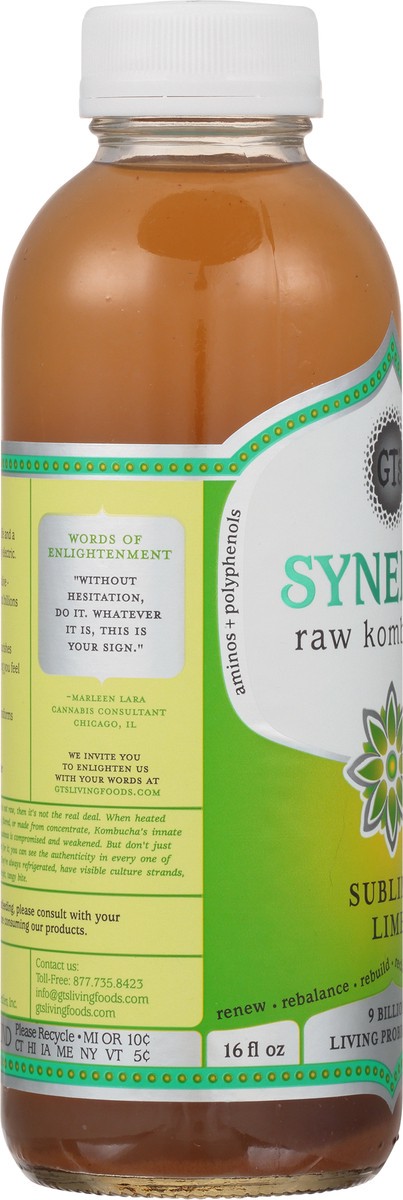 slide 7 of 9, GT's Gt's Synergy Organic & Raw Kombucha Sublime Lime, 16 fl oz