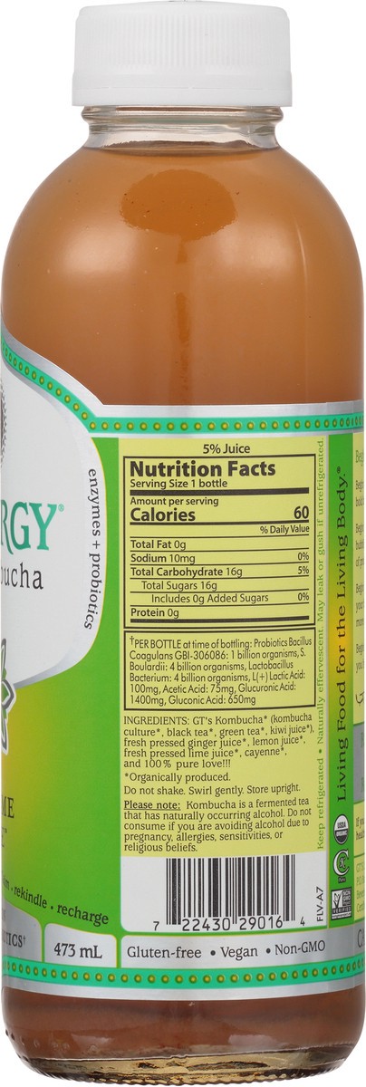 slide 8 of 9, GT's Gt's Synergy Organic & Raw Kombucha Sublime Lime, 16 fl oz