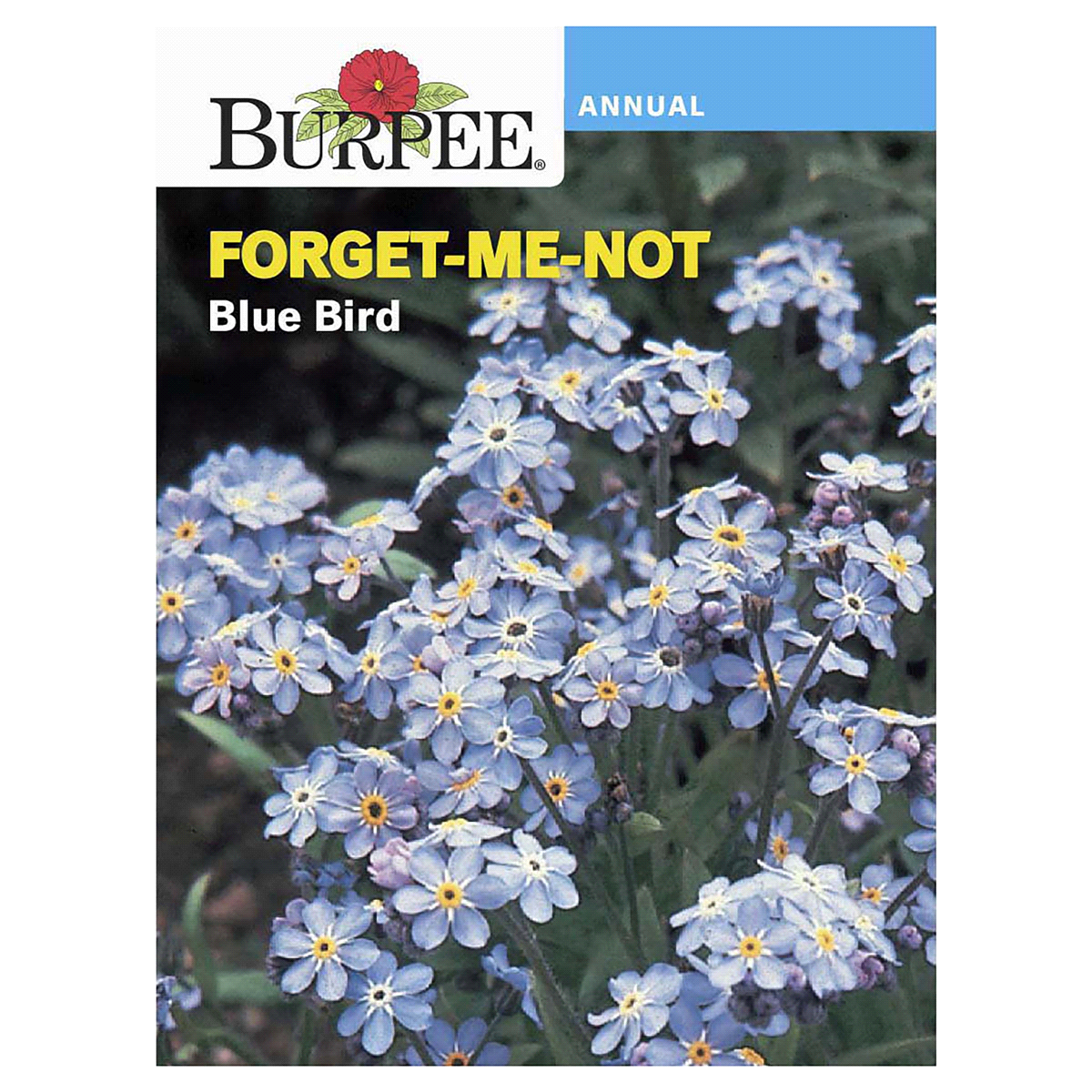 slide 1 of 5, Burpee Forget-Me-Not Blue Bird Seeds, 1 ct