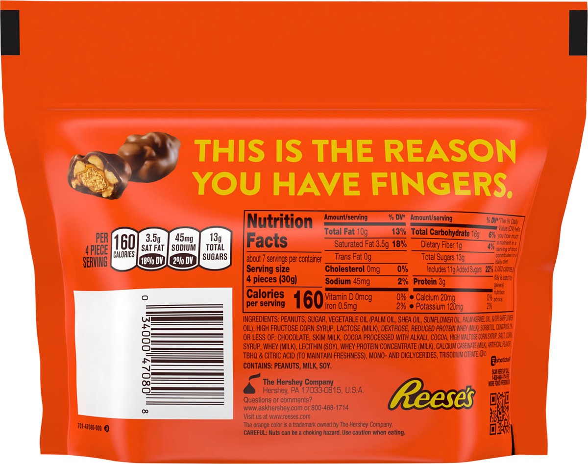 slide 7 of 8, REESE'S CLUSTER BITES Peanut Butter, Caramel and Peanuts Candy Bag, 7 oz, 7 oz