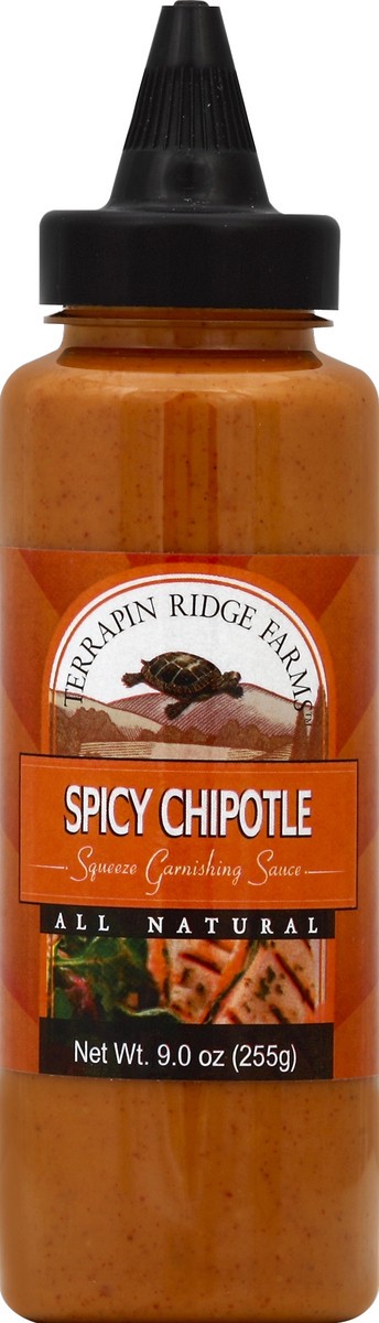 slide 2 of 2, Terrapin Ridge Farms Garnishing Sauce Squeeze Spicy Chipotle 9 oz, 9 oz