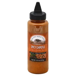 Terrapin Ridge Farms Spicy Chipotle Garnishing Sauce 8.5 oz