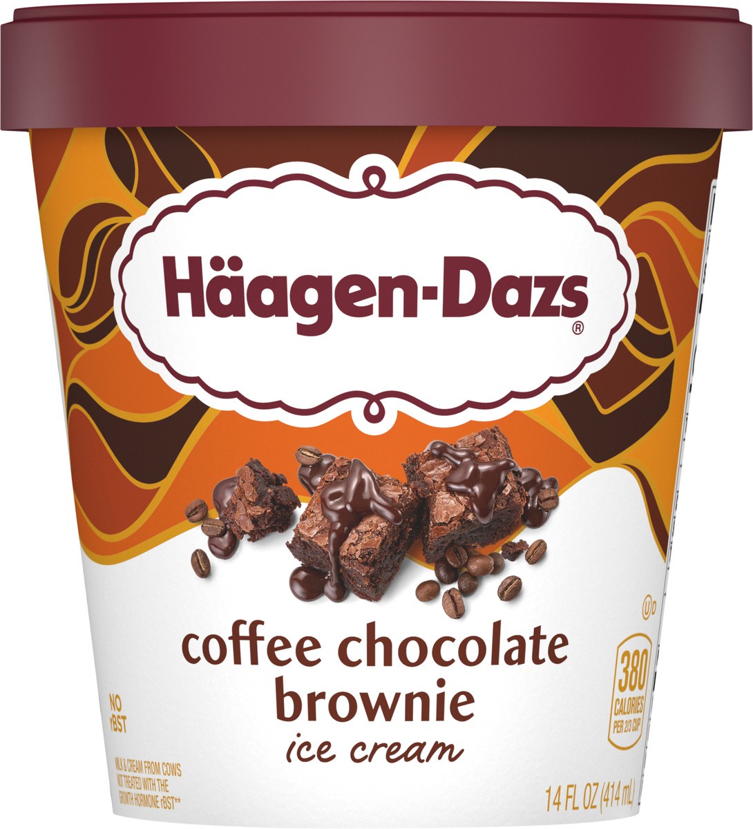 slide 6 of 9, Häagen-Dazs Brownie Coffee Chocolate Ice Cream 14 fl oz, 14 fl oz