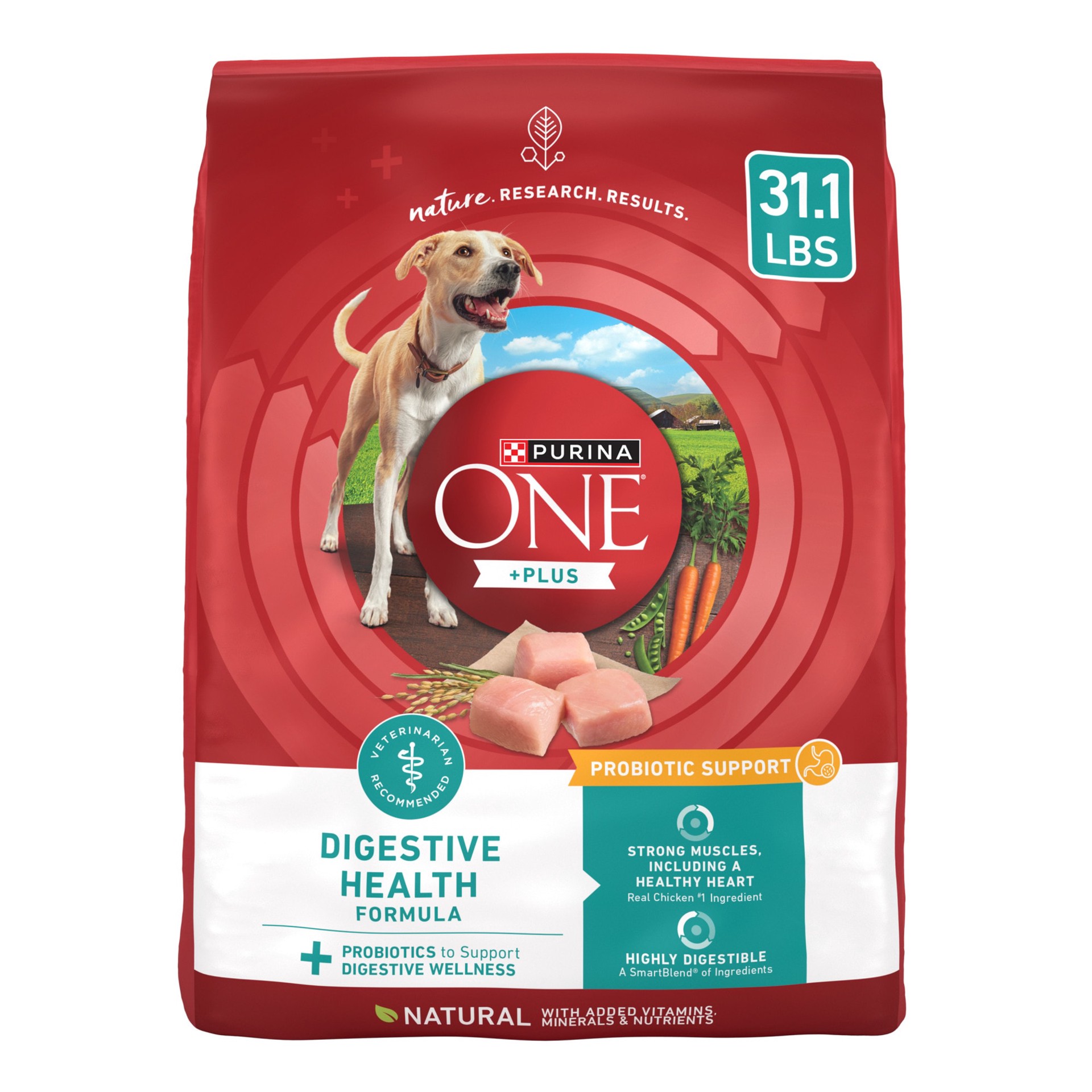 slide 1 of 8, ONE Purina One Plus Digestive Health Formula Dry Dog Food Natural with Added Vitamins, Minerals and Nutrients, 31.1 lb