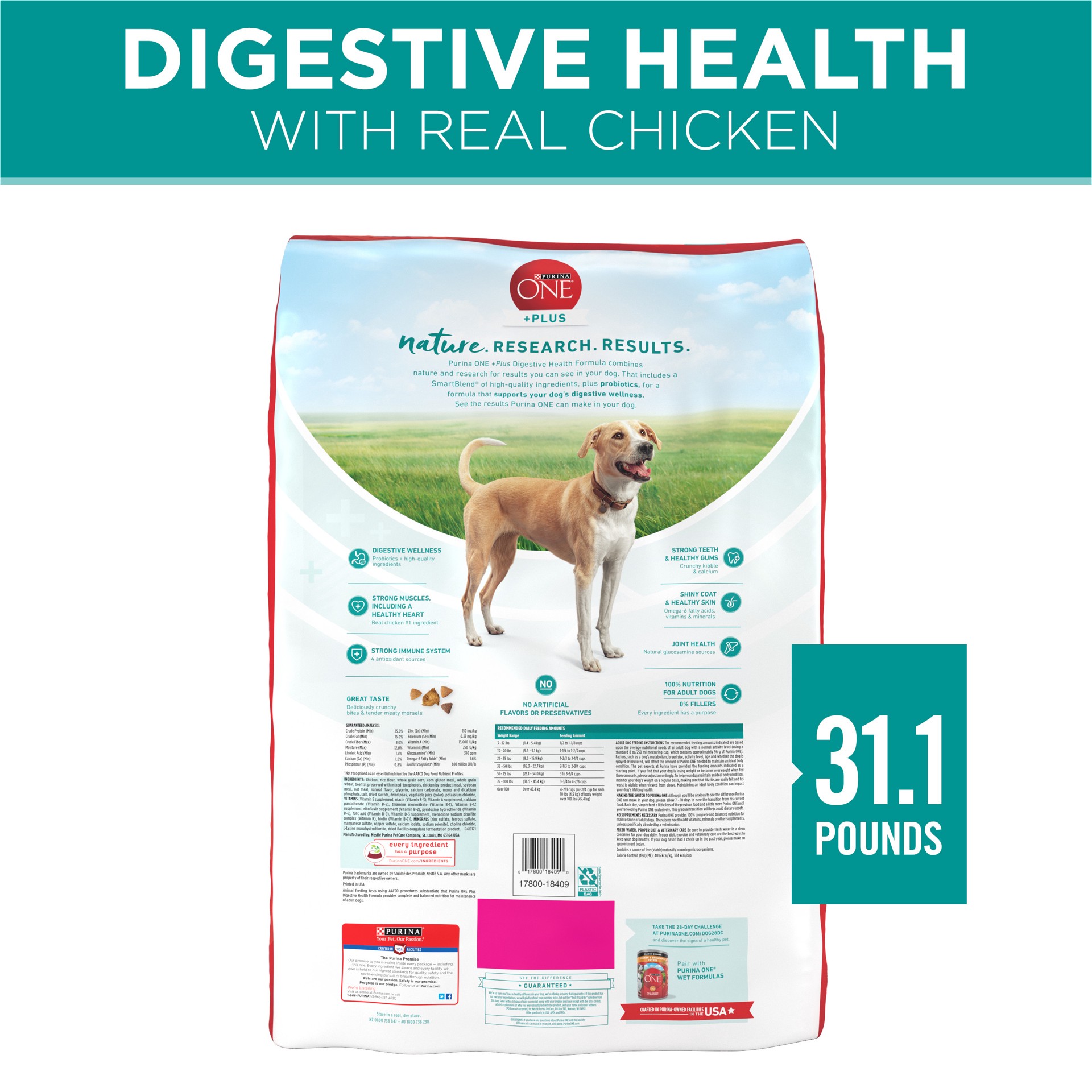 slide 6 of 8, ONE Purina One Plus Digestive Health Formula Dry Dog Food Natural with Added Vitamins, Minerals and Nutrients, 31.1 lb