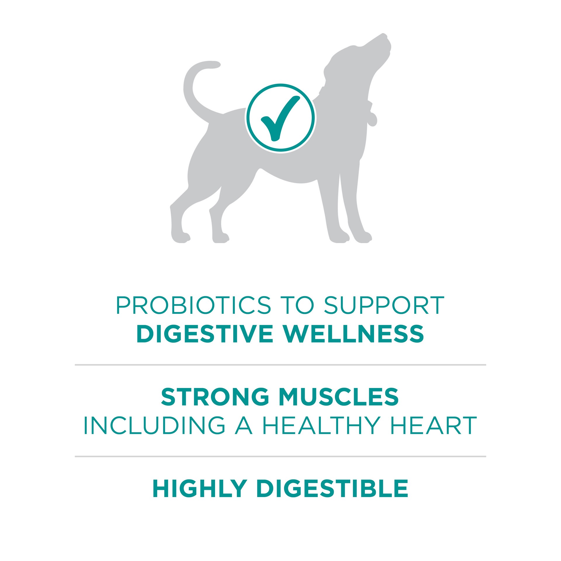 slide 2 of 8, ONE Purina One Plus Digestive Health Formula Dry Dog Food Natural with Added Vitamins, Minerals and Nutrients, 31.1 lb