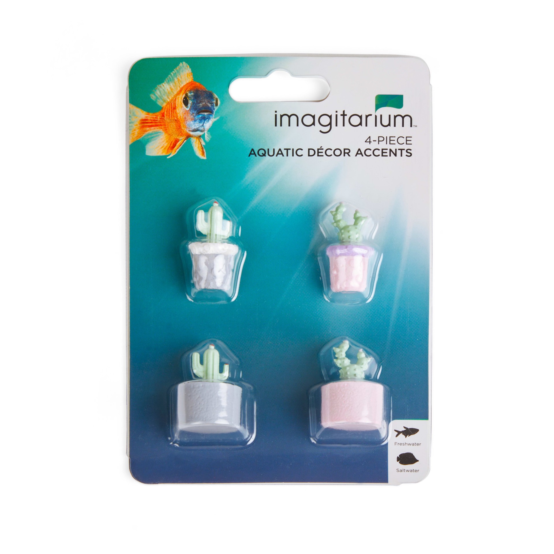 slide 1 of 1, Imagitarium 4-piece Succulent Accents, X-Small, 1 ct