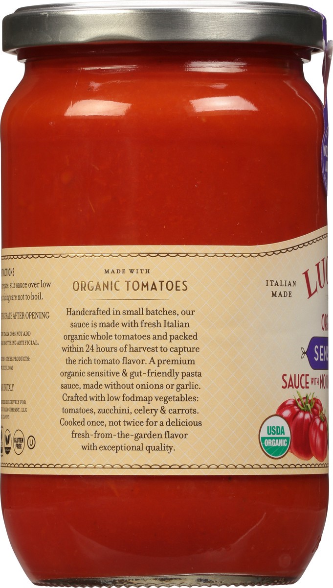 slide 10 of 13, Lucini Italia Organic Sensitive Sauce with No Onions or Garlic 24 oz, 24 oz