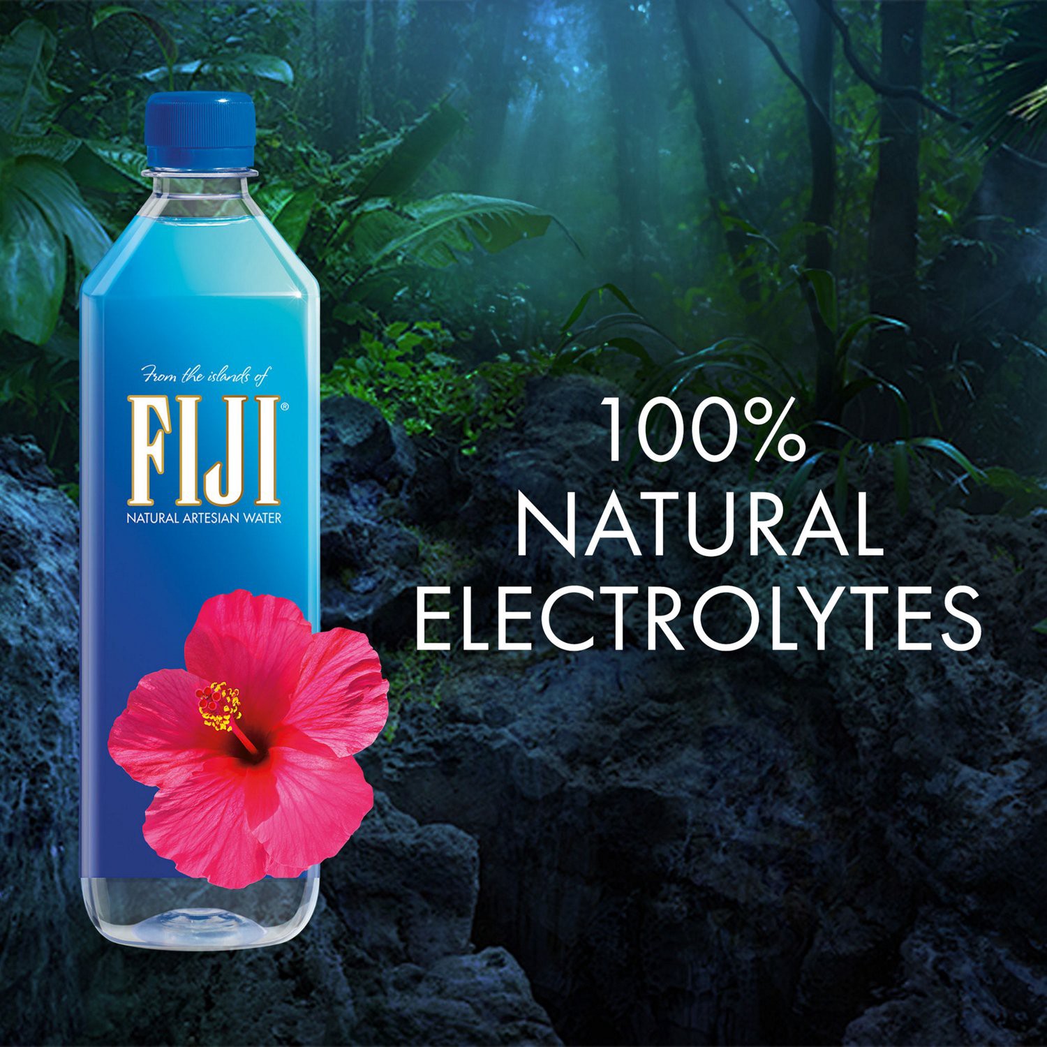 slide 4 of 4, FIJI Natural Artesian Bottled Water, 700mL / 23.7 Fl Oz, 700 ml