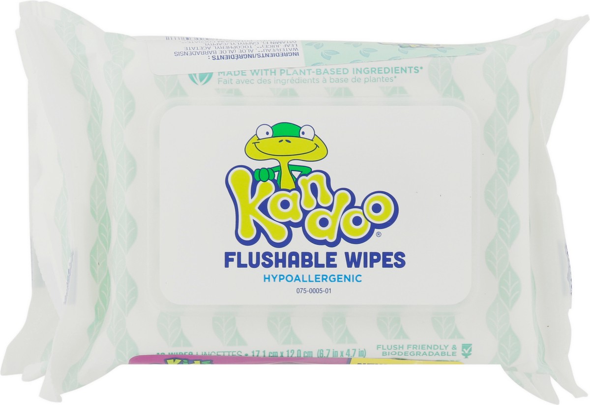 slide 2 of 9, Kandoo Kids Flushable Wipes 3 - 48ct Packs (144 Wipes), 3 ct