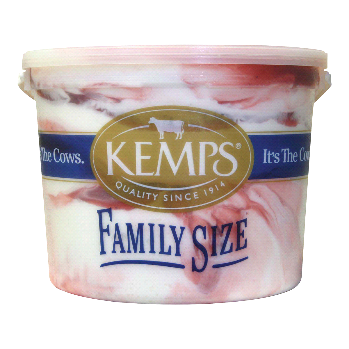 slide 1 of 6, Kemps Strawberry Swirl Ice Cream Family Size, 1.03 gal
