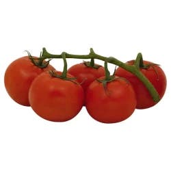 Organic Tomato/Vine Holland