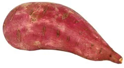 Organic Japanese Sweet Potato