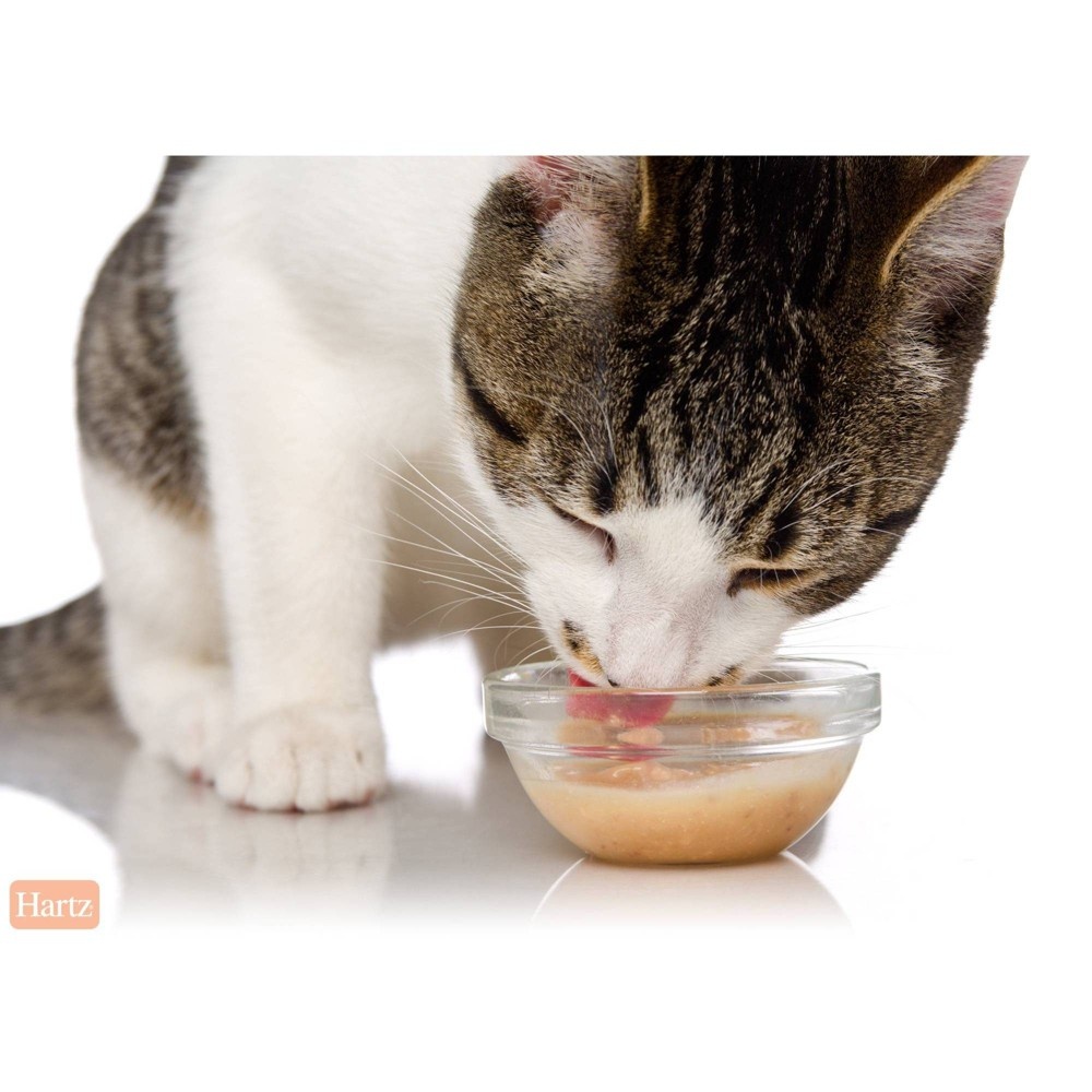 slide 3 of 4, Delectables Bisque Tuna & Chicken Lickable Cat Treats, 1.4 oz