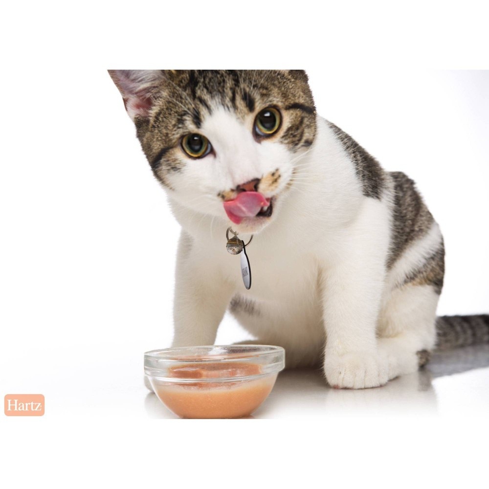 slide 4 of 4, Delectables Bisque Tuna & Chicken Lickable Cat Treats, 1.4 oz