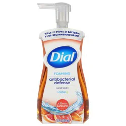 Dial Antibacterial Defense Foaming Hand Wash, Citrus Sunburst Scent, with Aloe - 7.5 fl oz