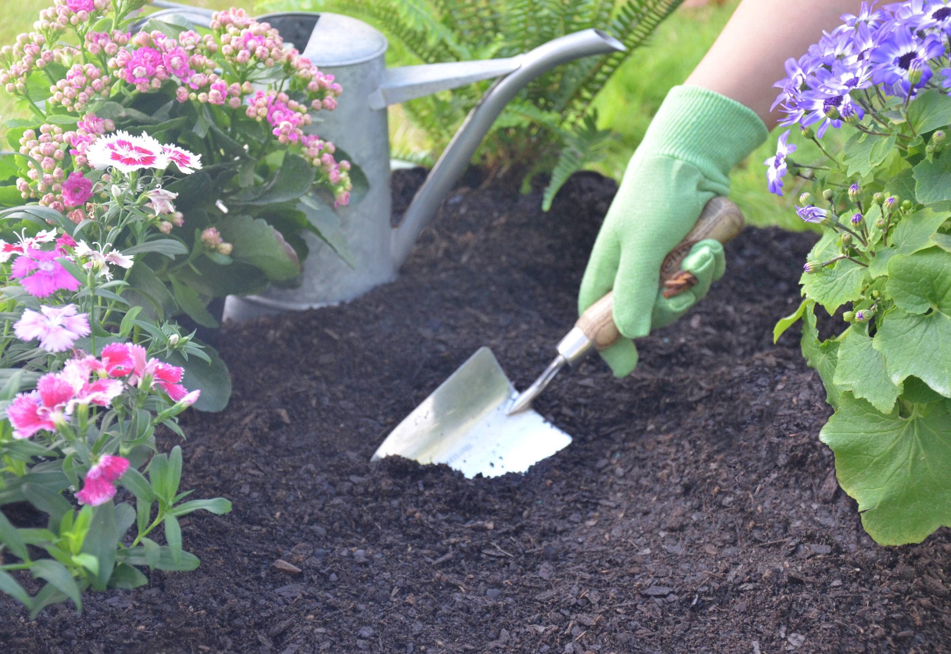 slide 2 of 5, Just Natural Organic All Purpose Garden Soil, 1 Each, 1 ct