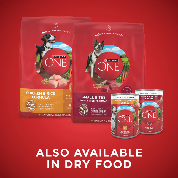 slide 2 of 29, Purina ONE Tender Cuts in GravyHigh Protein Wet Dog Food Variety Pack - (12) 13 oz. Cans, 12 ct