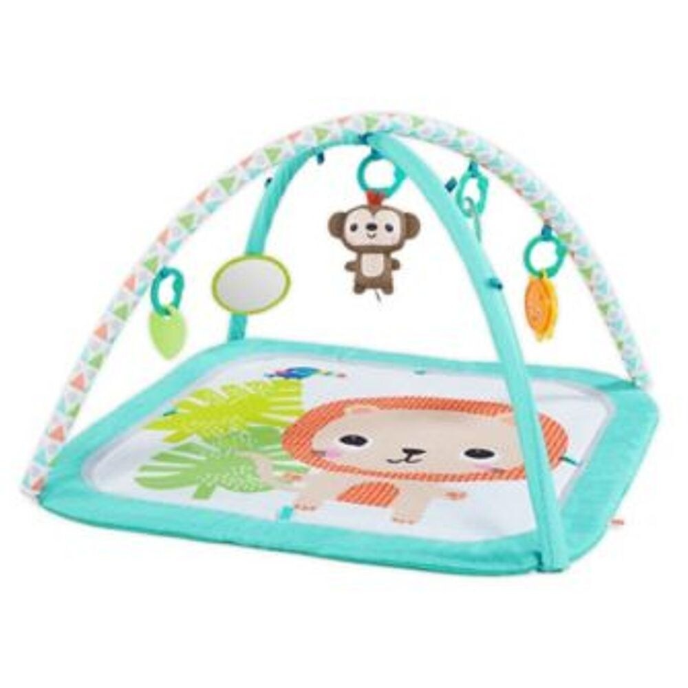 slide 1 of 1, Bright Starts Daydream Blooms Activity Gym, 1 ct