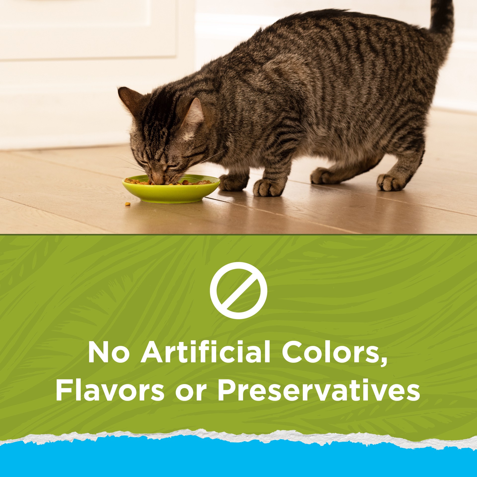 slide 3 of 9, Cat Chow Purina Naturals Indoor Dry Cat Food, 6.3 Lb., 1 ct