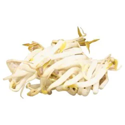 Fresh Bean Sprouts Bulk