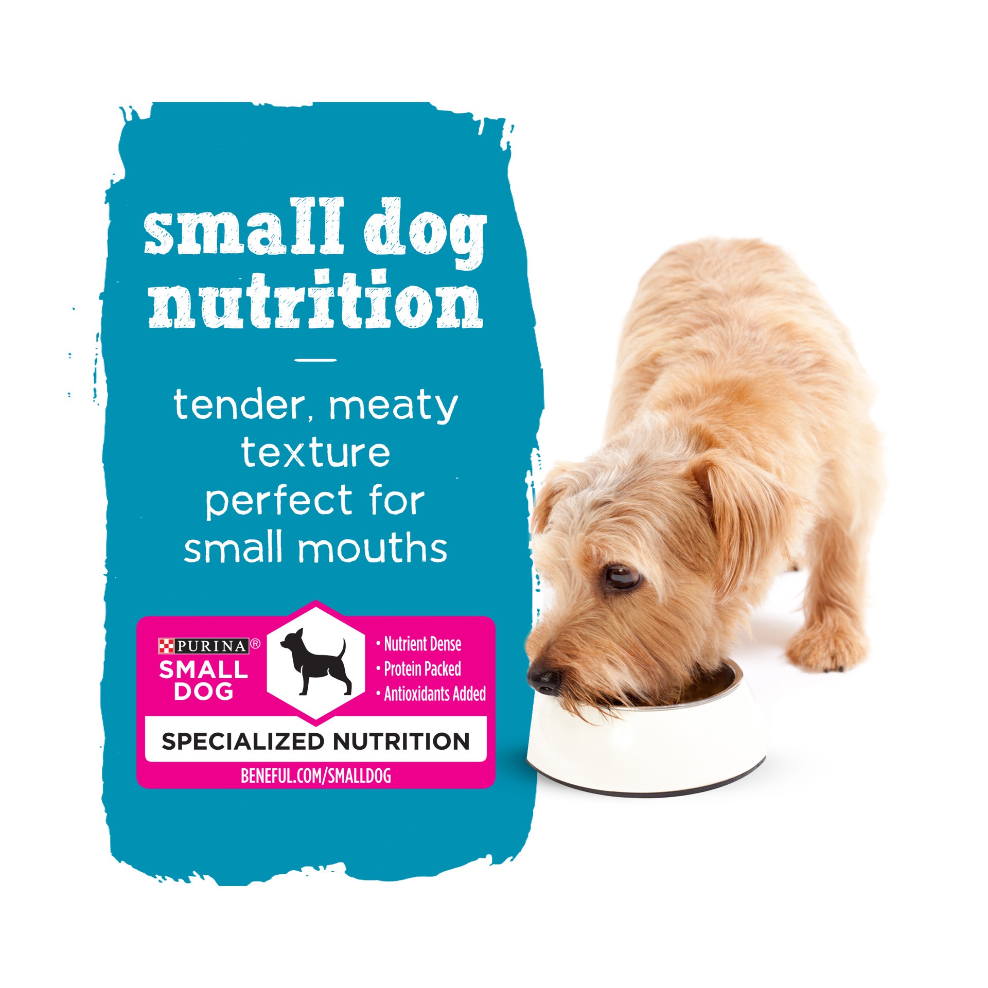 slide 4 of 8, Beneful Purina Beneful Small Breed Wet Dog Food, IncrediBites Pate With Real Salmon Recipe, 9 oz