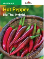 Burpee Asian Big Thai Hybrid Hot Pepper Seeds - Red