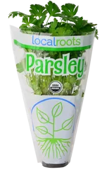 Local Roots Parsley