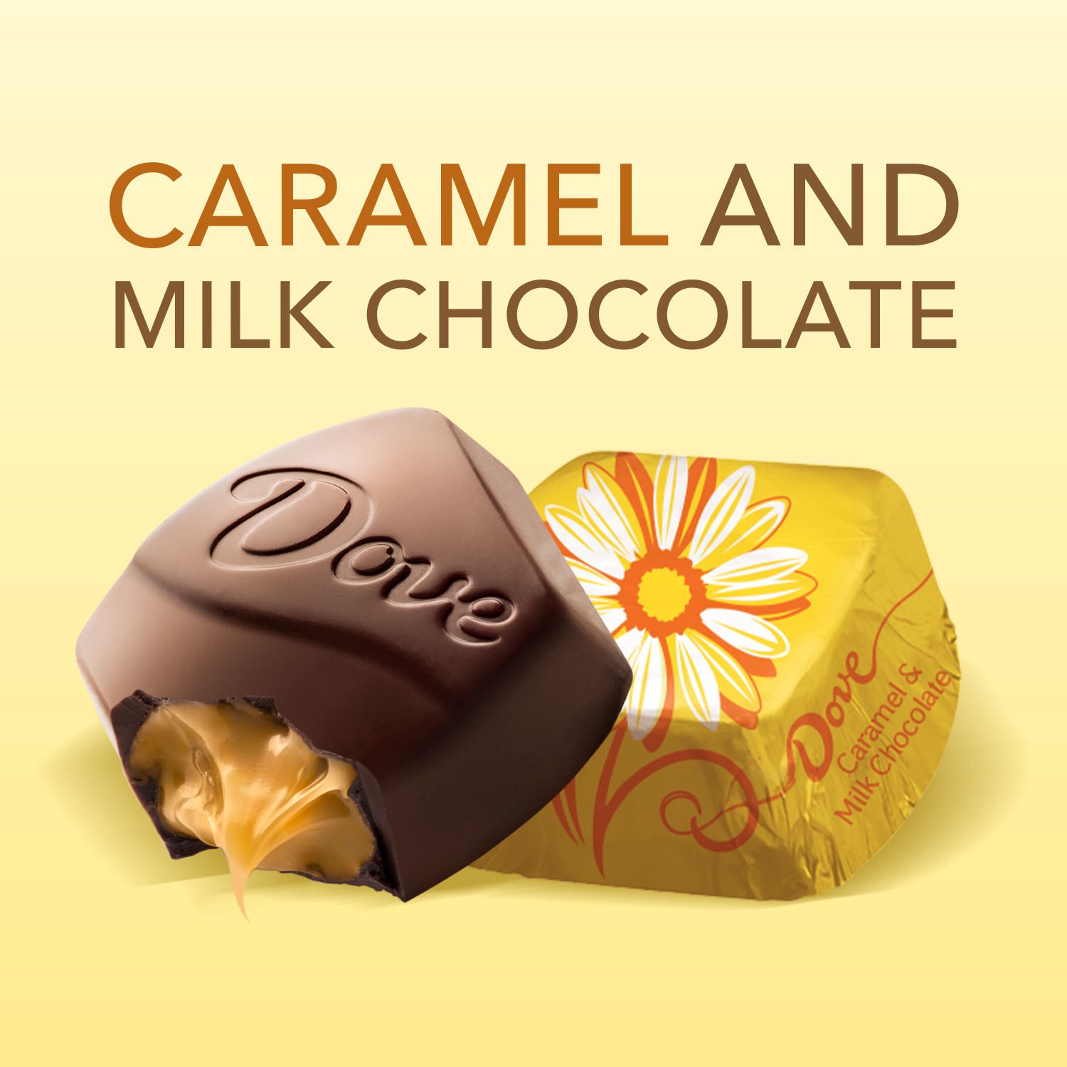 slide 8 of 8, DOVE PROMISES Caramel & Milk Chocolate Easter Candy , 7.94 Oz Bag, 7.94 oz