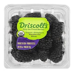 Central Organic Blackberry