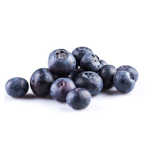 slide 1 of 1, Blueberries, Family Pack, 18 Oz., 18 oz