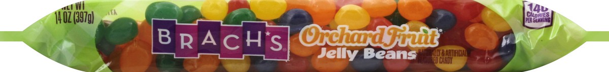 slide 4 of 5, Brach's Orchard Fruit Jelly Beans, 14 oz